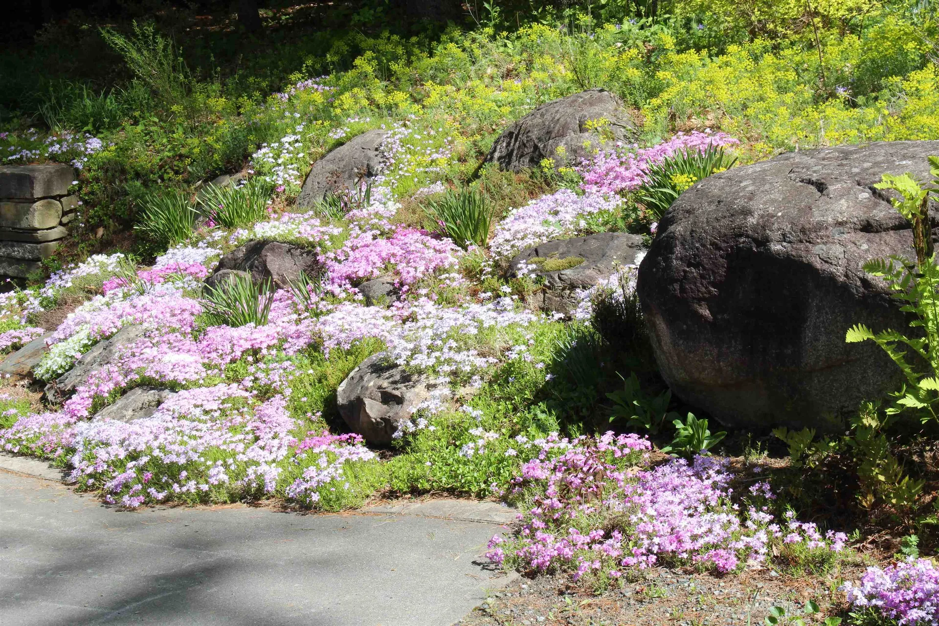 10 Dairy Lane Hanover NH 03755