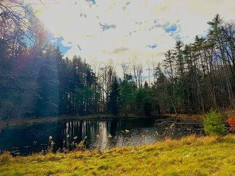 813 Goshen Road Bradford VT 05033