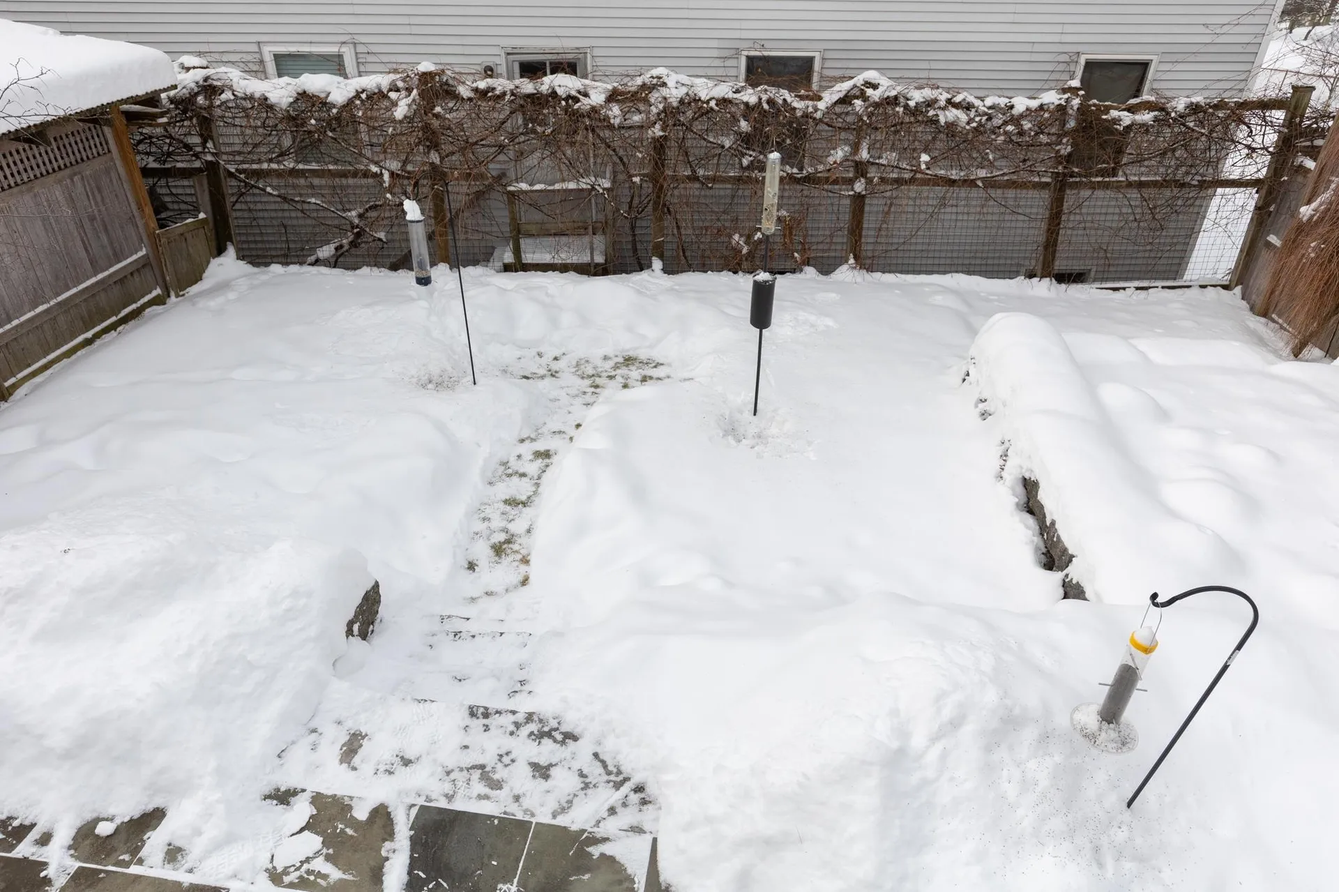 9 Spruce Court Burlington VT 05401