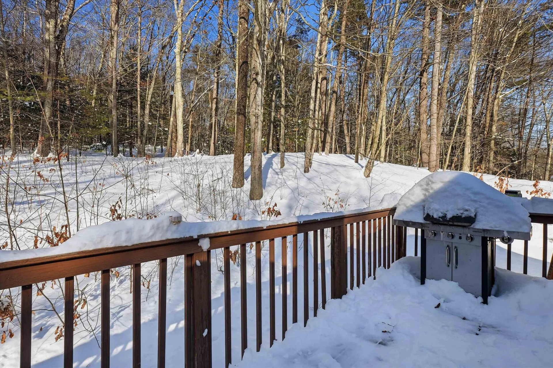 5 Richard Court Raymond NH 03077