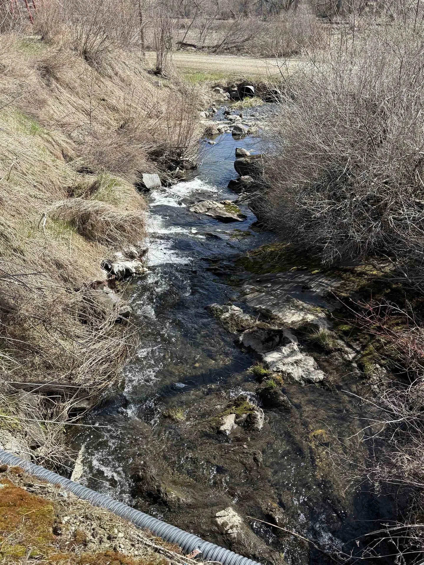 109 River Road Irasburg VT 05845