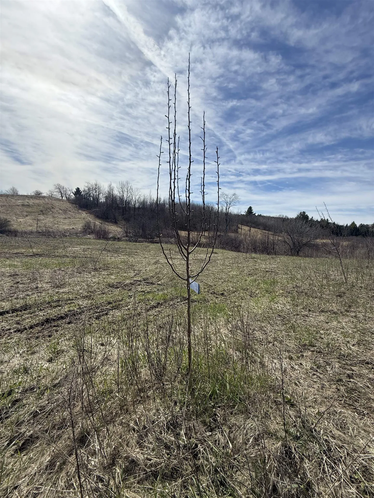 109 River Road Irasburg VT 05845