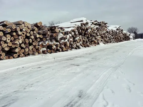 109 River Road Irasburg VT 05845