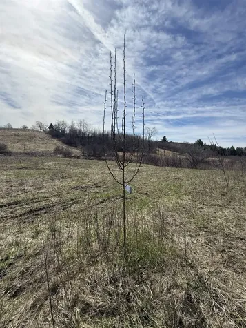 109 River Road Irasburg VT 05845