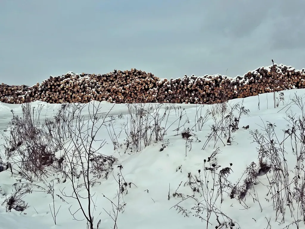 109 River Road Irasburg VT 05845