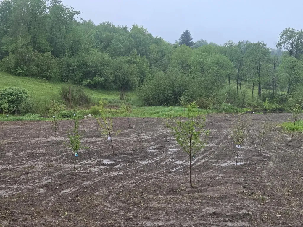 109 River Road Irasburg VT 05845