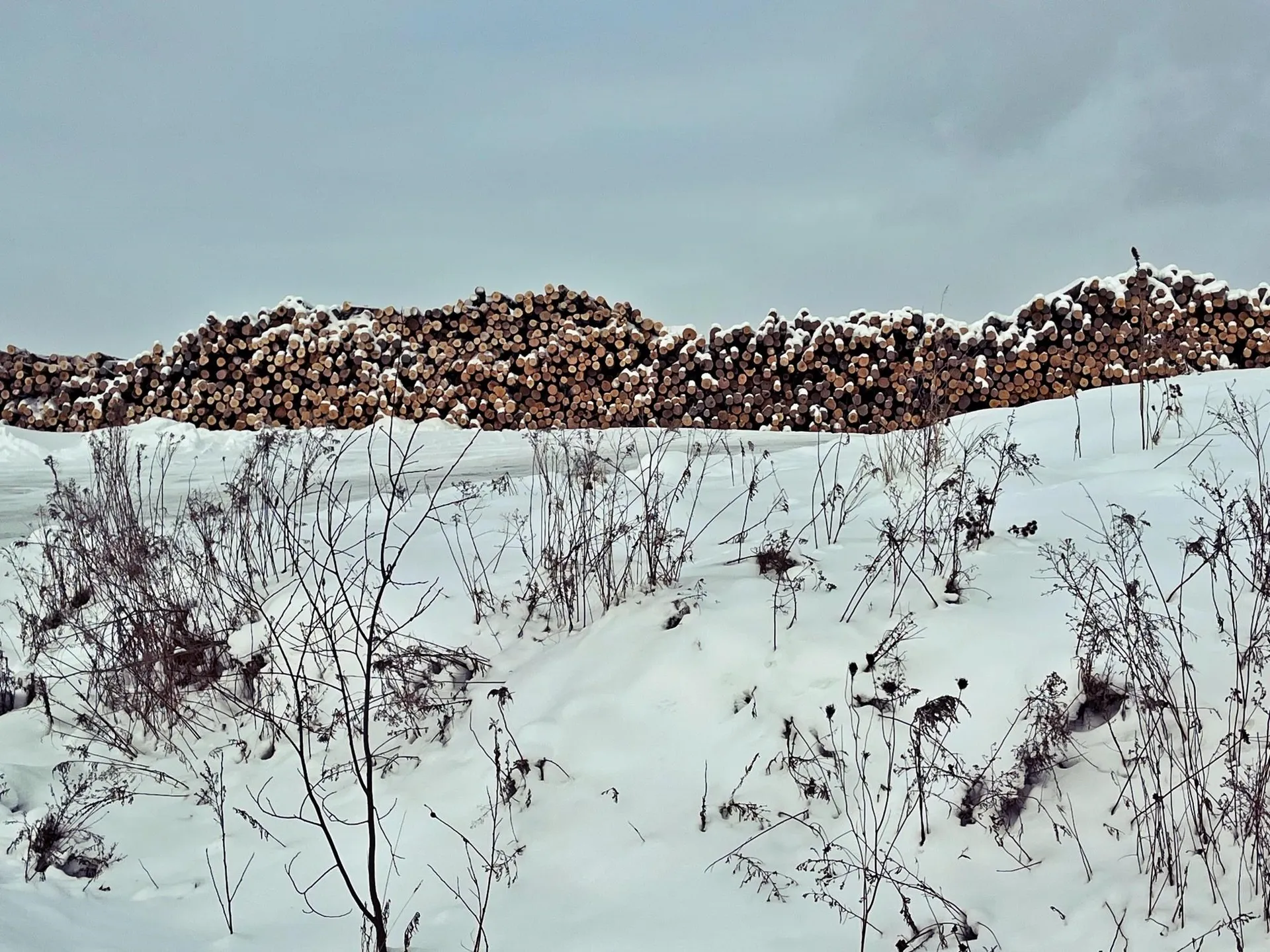 109 River Road Irasburg VT 05845