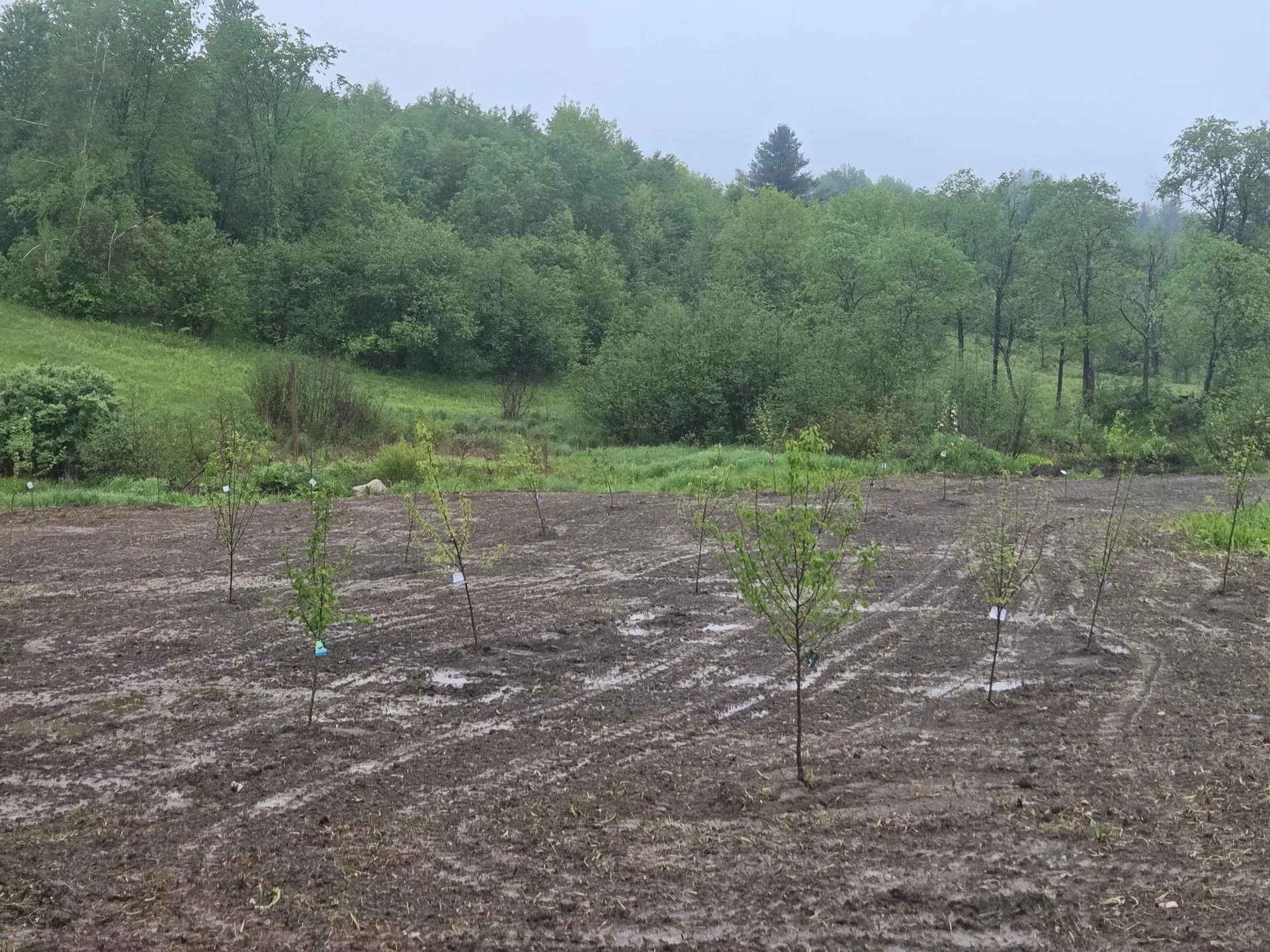 109 River Road Irasburg VT 05845
