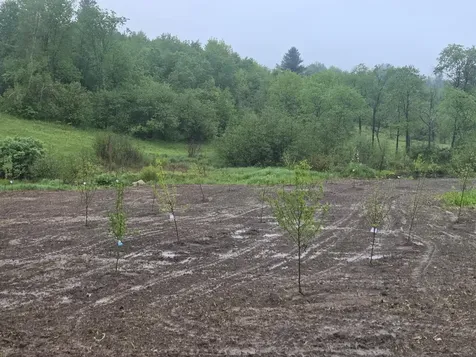 109 River Road Irasburg VT 05845