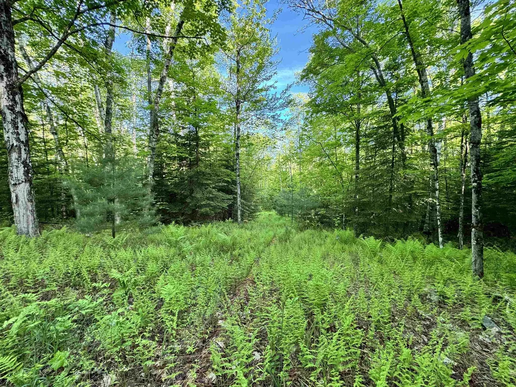 000 Slate Ledge Road Littleton NH 03561