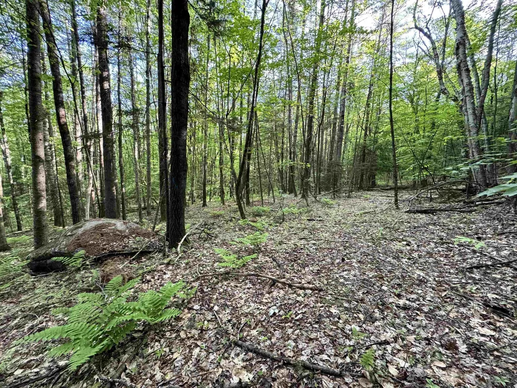 000 Slate Ledge Road Littleton NH 03561