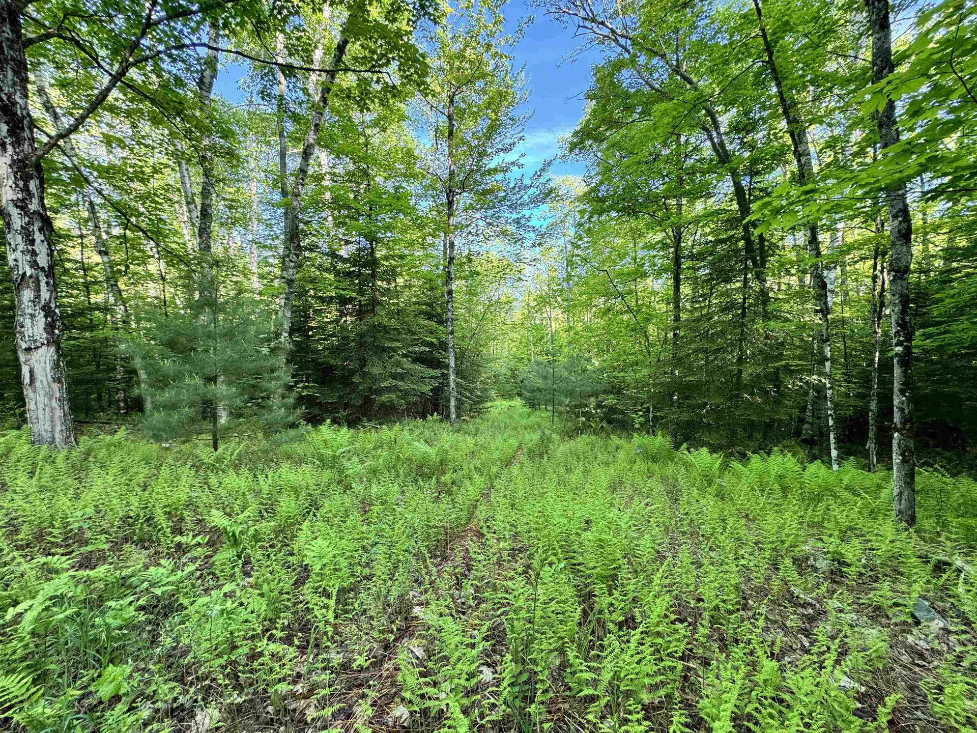 000 Slate Ledge Road Littleton NH 03561