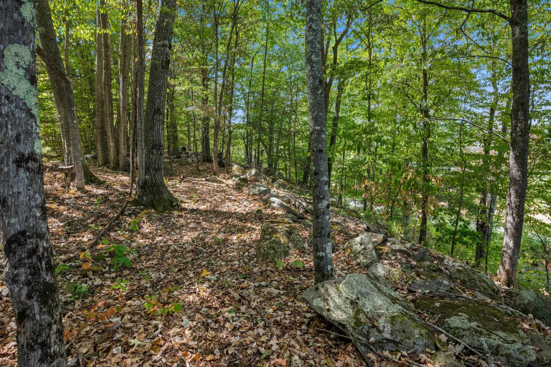 000 Slate Ledge Road Littleton NH 03561