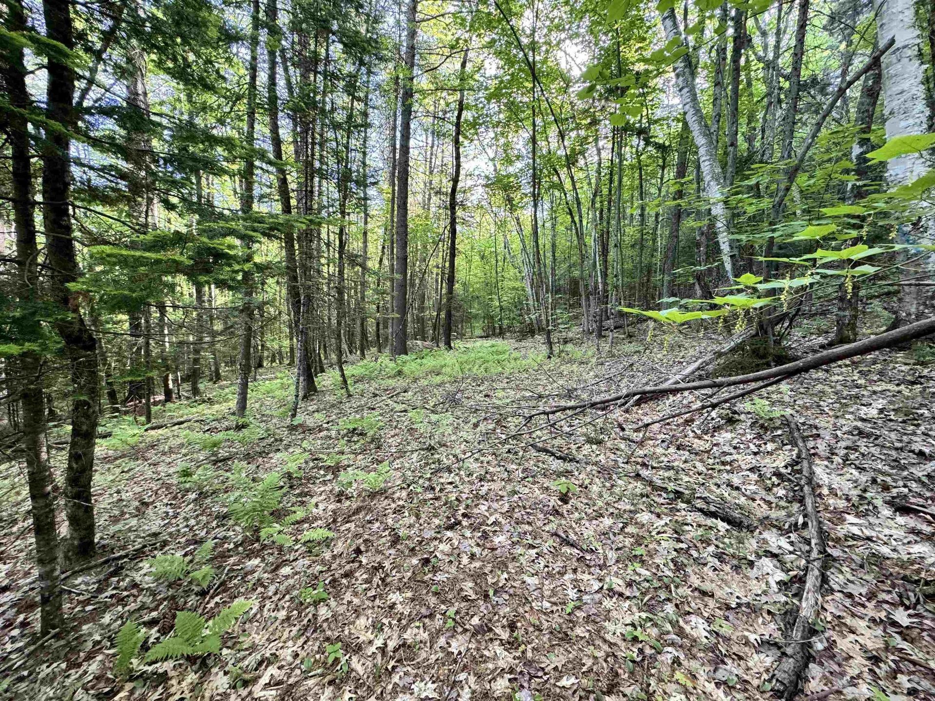 000 Slate Ledge Road Littleton NH 03561