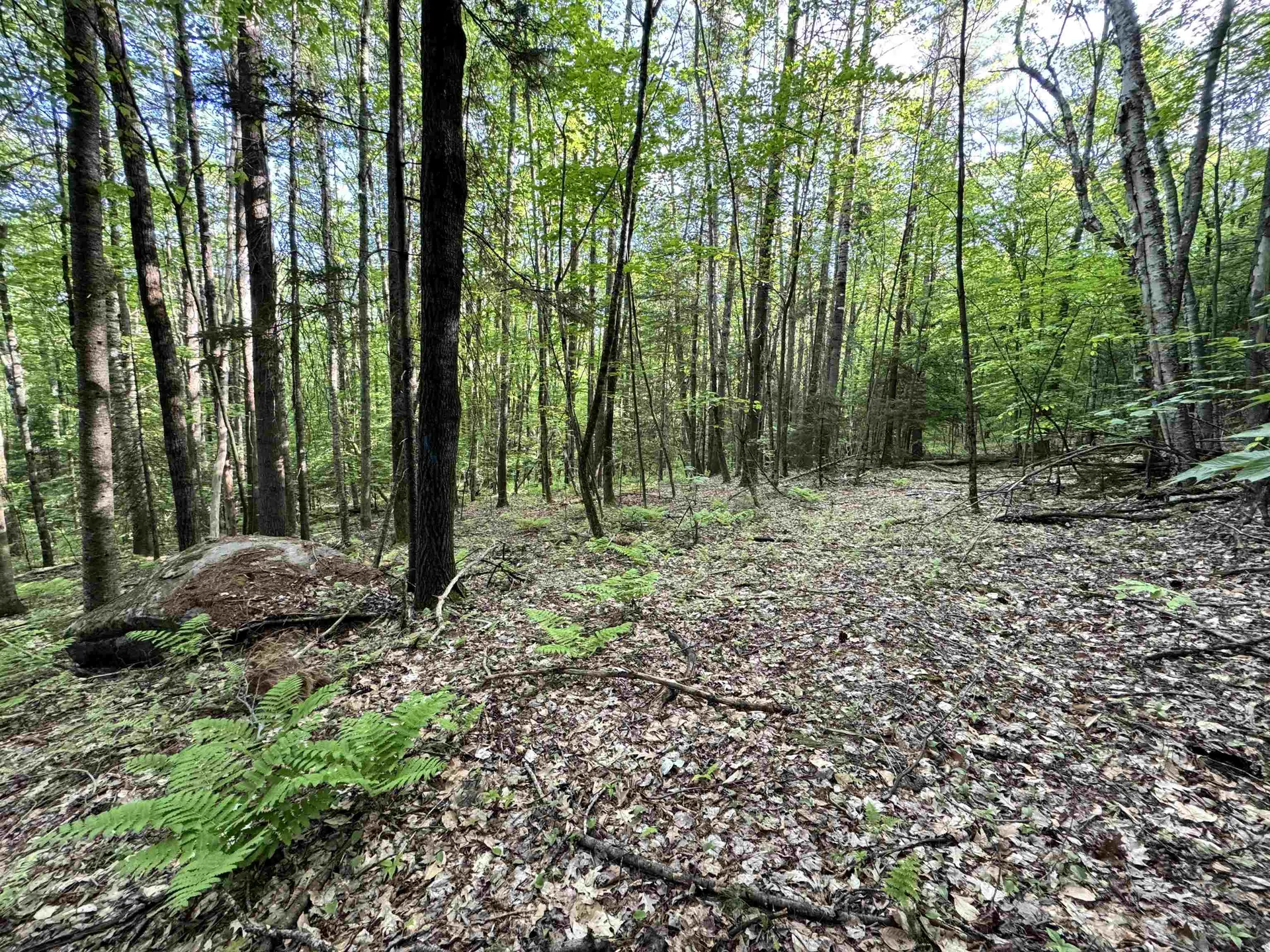 000 Slate Ledge Road Littleton NH 03561