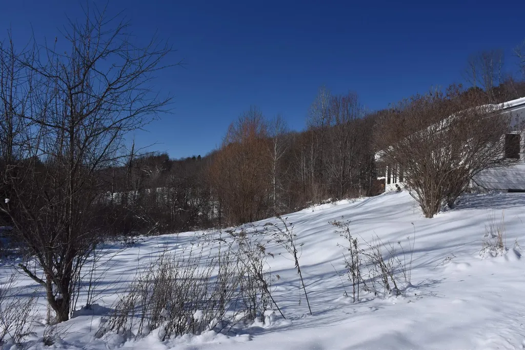 1130 Sanders Circle East Montpelier VT 05602