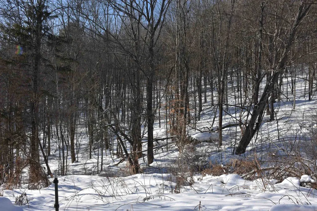 1130 Sanders Circle East Montpelier VT 05602