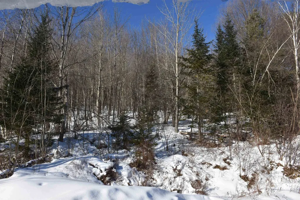 1130 Sanders Circle East Montpelier VT 05602