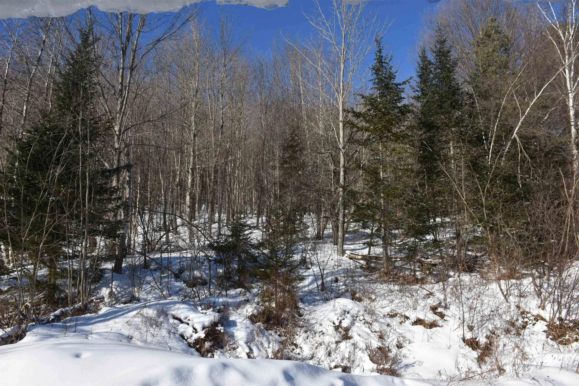 1130 Sanders Circle East Montpelier VT 05602