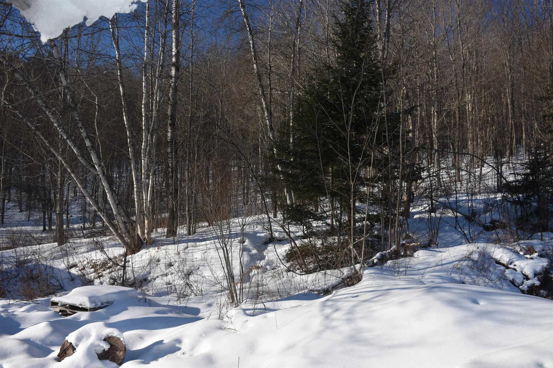 1130 Sanders Circle East Montpelier VT 05602