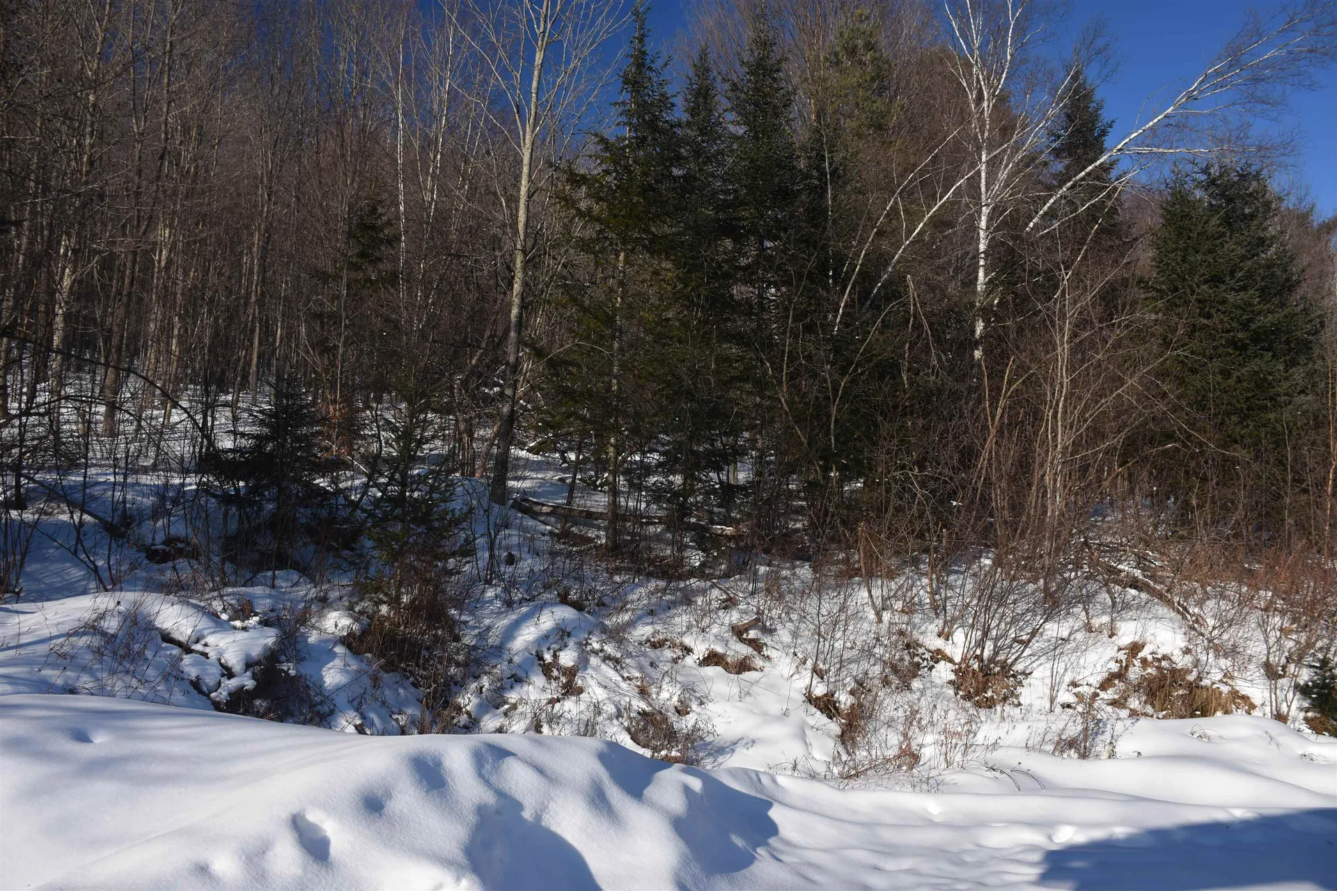 1130 Sanders Circle East Montpelier VT 05602