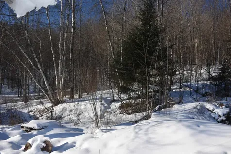 1130 Sanders Circle East Montpelier VT 05602