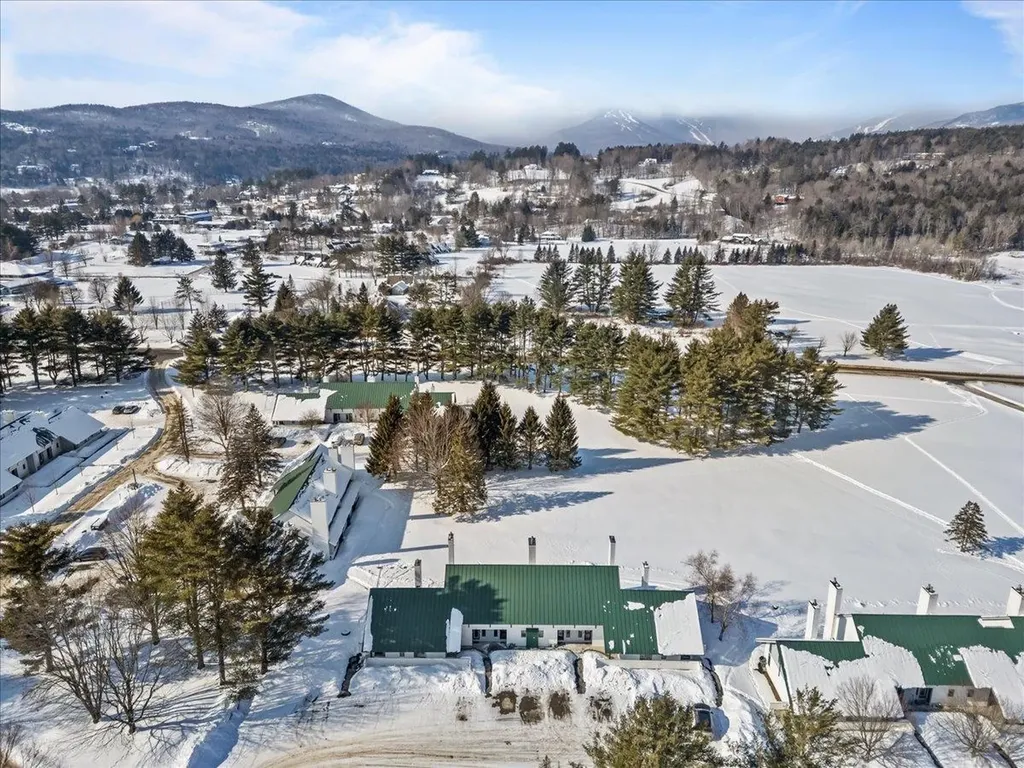 131 Village Green Drive Stowe VT 05672