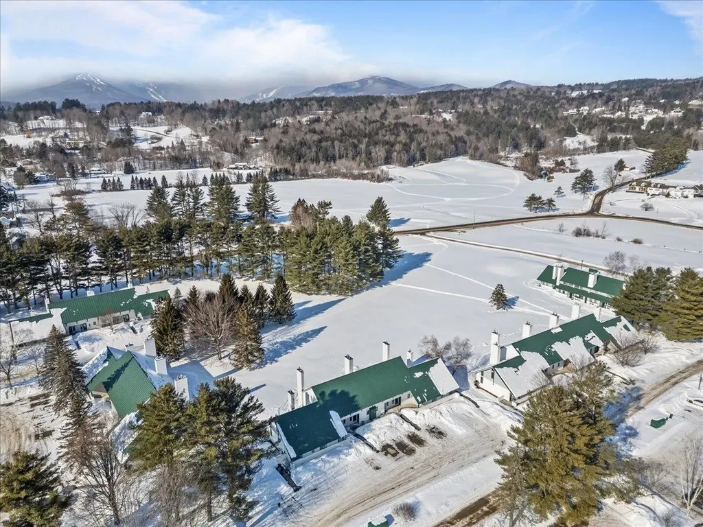 131 Village Green Drive Stowe VT 05672