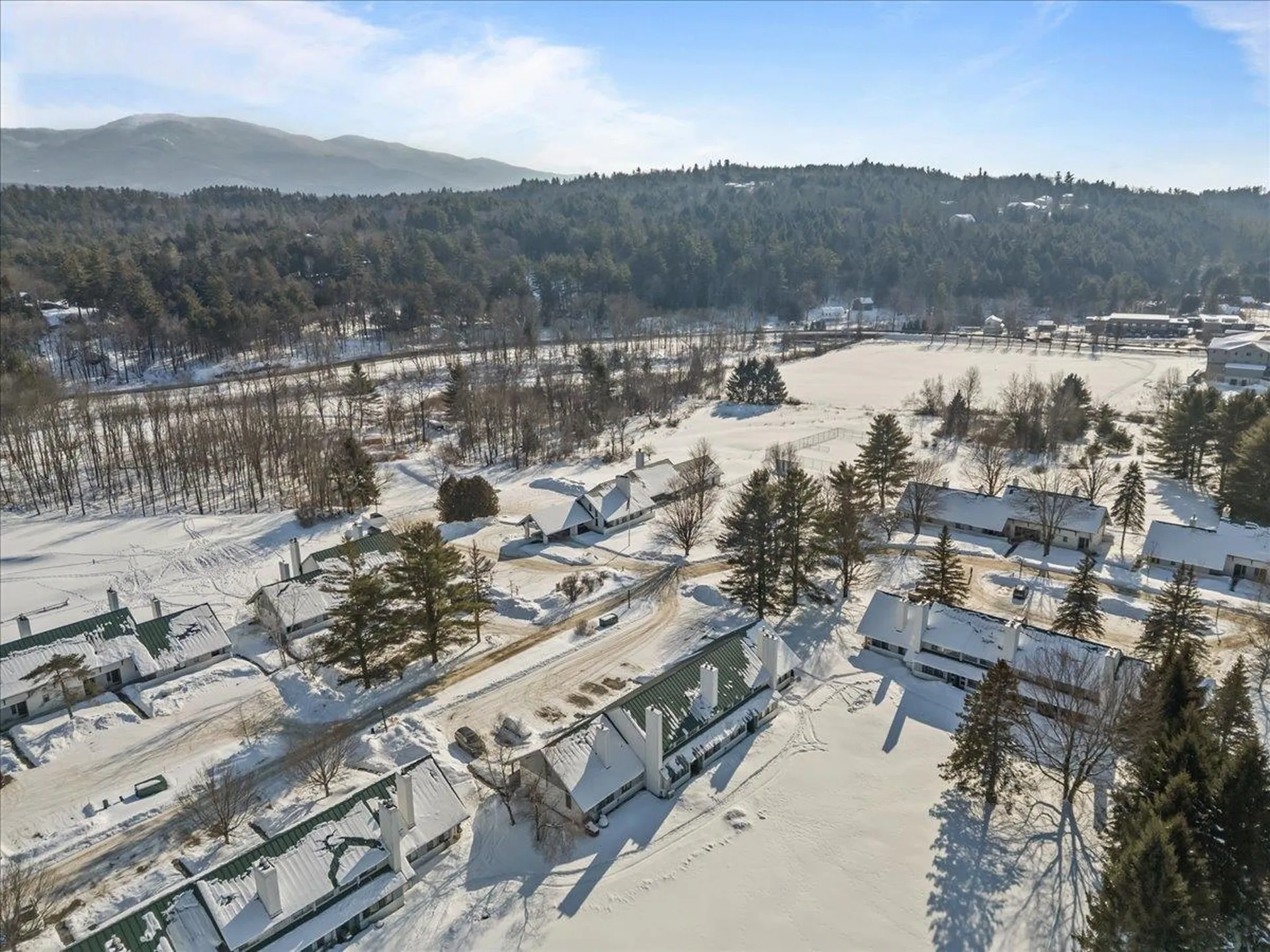 131 Village Green Drive Stowe VT 05672