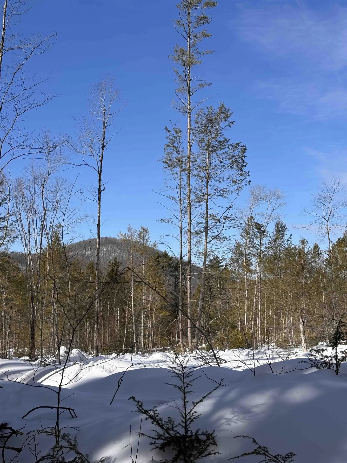 M409 L66-1 Old Turnpike Road Richmond NH 03470