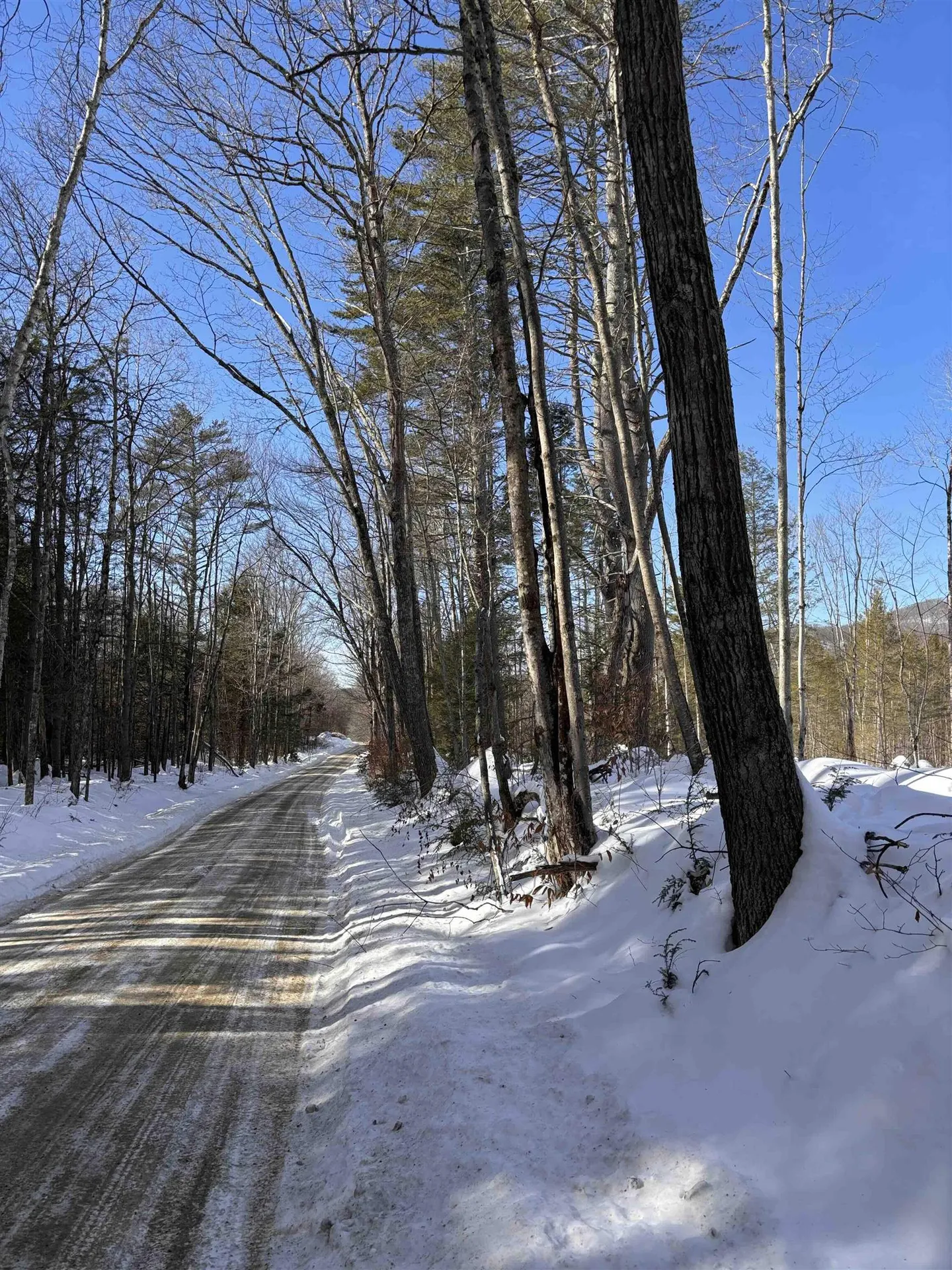 M409 L66-1 Old Turnpike Road Richmond NH 03470