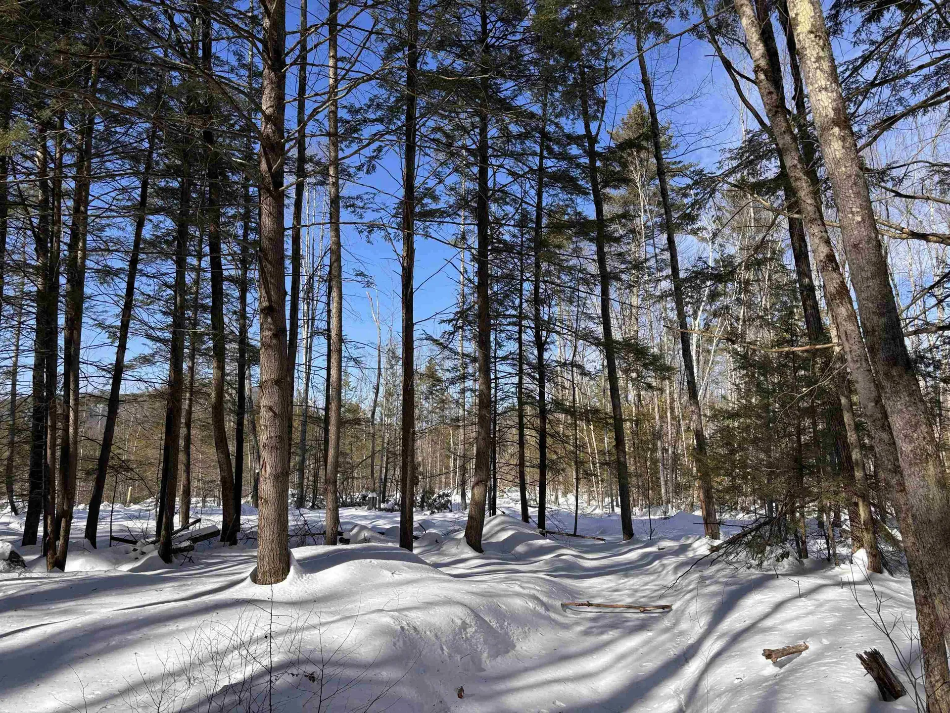 M409 L66-1 Old Turnpike Road Richmond NH 03470