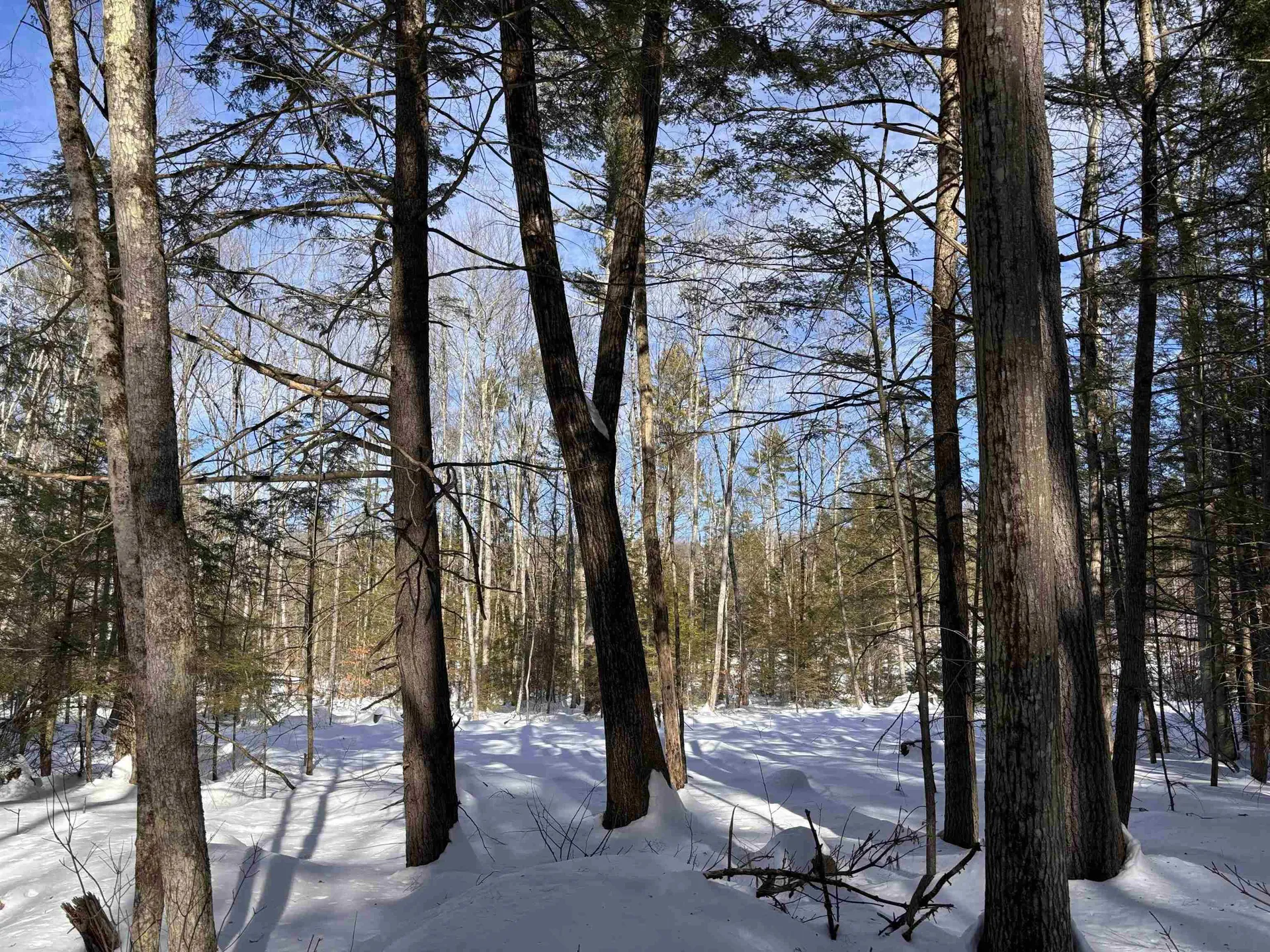 M409 L66-1 Old Turnpike Road Richmond NH 03470