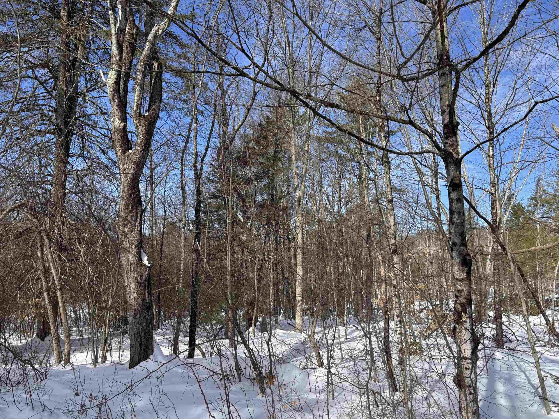 M409 L66-1 Old Turnpike Road Richmond NH 03470