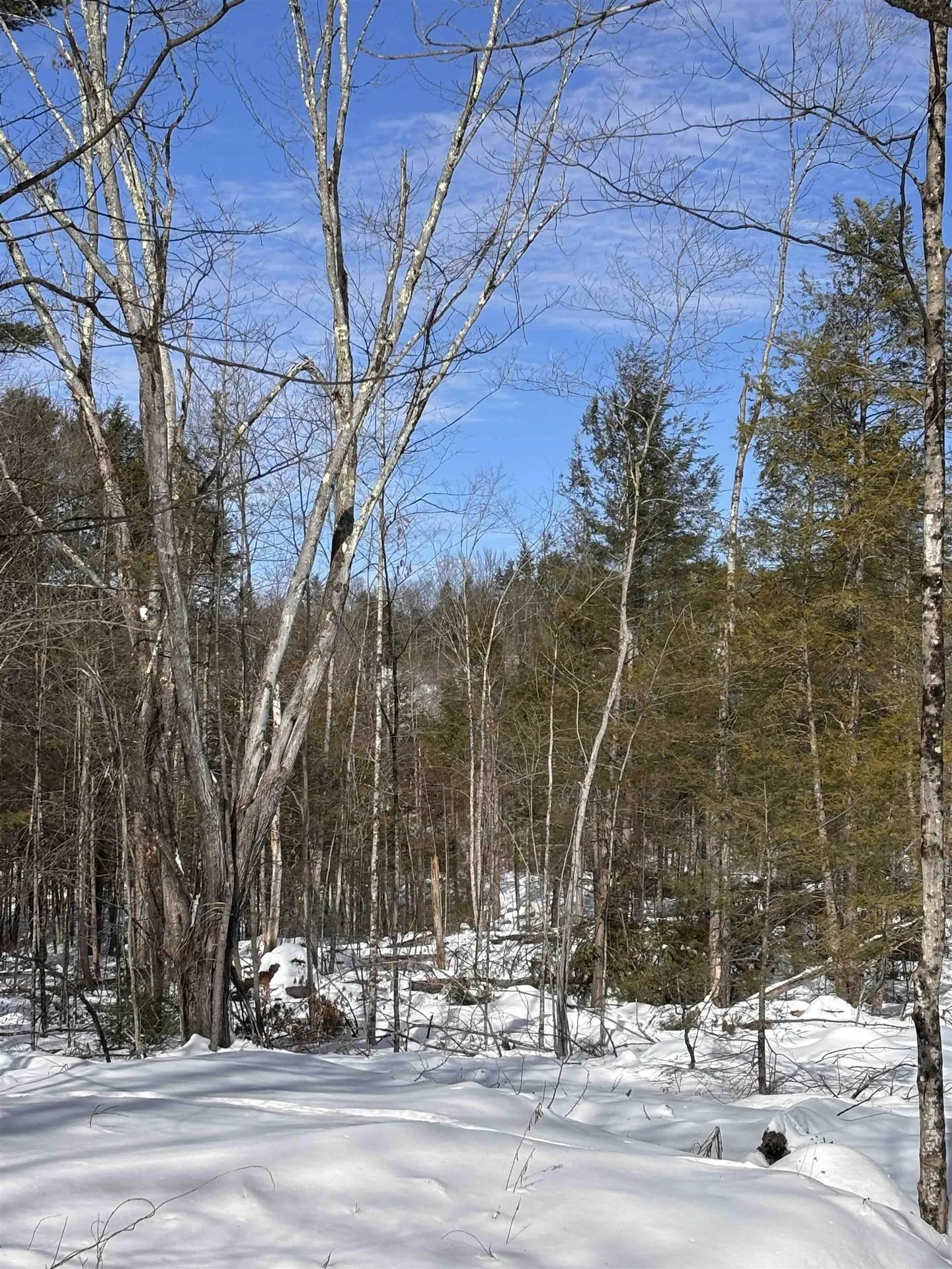 M409 L66-1 Old Turnpike Road Richmond NH 03470