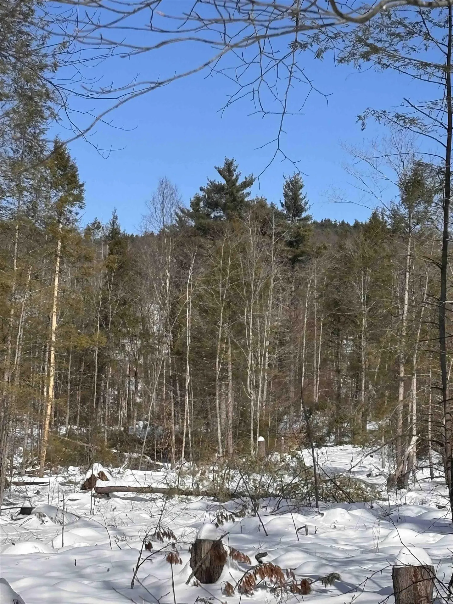 M409 L66-1 Old Turnpike Road Richmond NH 03470