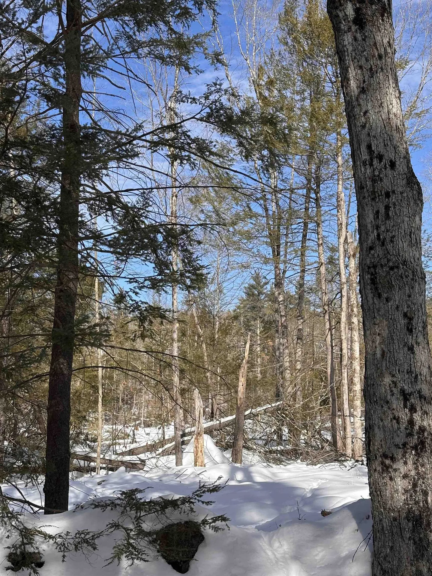 M409 L66-1 Old Turnpike Road Richmond NH 03470