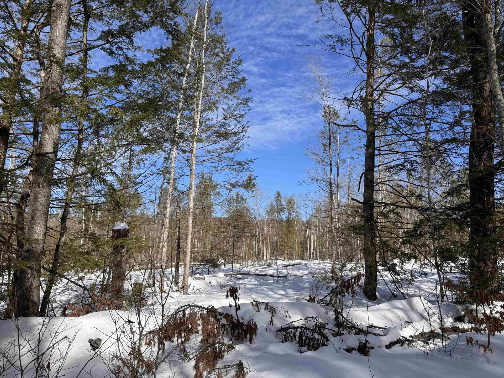 M409 L66-1 Old Turnpike Road Richmond NH 03470