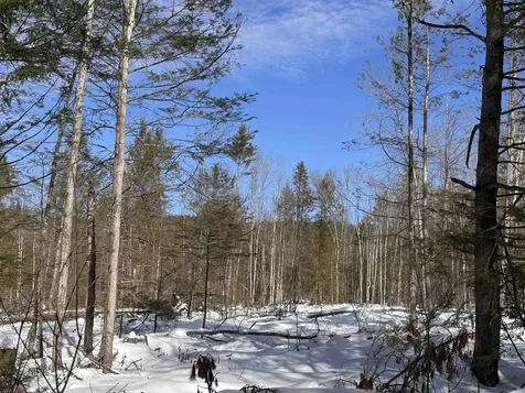 M409 L66-1 Old Turnpike Road Richmond NH 03470