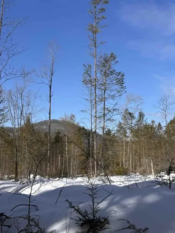 M409 L66-1 Old Turnpike Road Richmond NH 03470