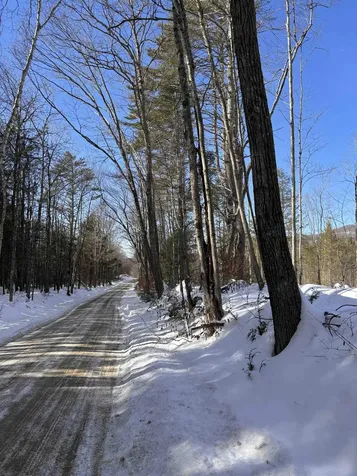 M409 L66-1 Old Turnpike Road Richmond NH 03470