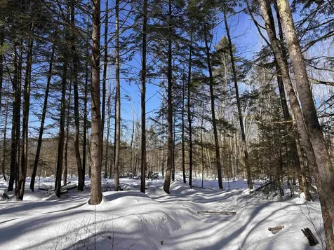 M409 L66-1 Old Turnpike Road Richmond NH 03470