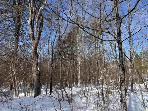 M409 L66-1 Old Turnpike Road Richmond NH 03470