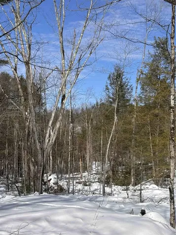 M409 L66-1 Old Turnpike Road Richmond NH 03470