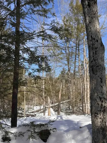 M409 L66-1 Old Turnpike Road Richmond NH 03470