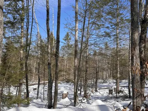 M409 L66-1 Old Turnpike Road Richmond NH 03470