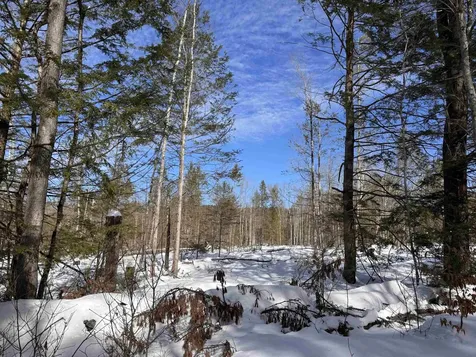 M409 L66-1 Old Turnpike Road Richmond NH 03470