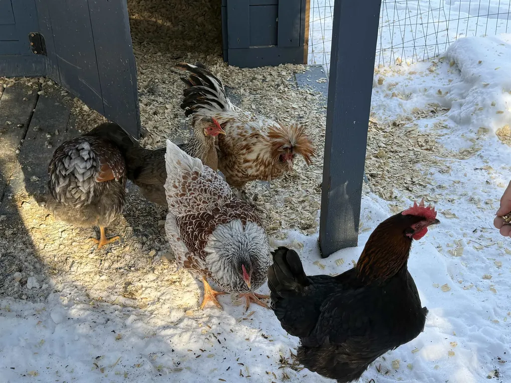 180 Grove Street Rutland City VT 05701