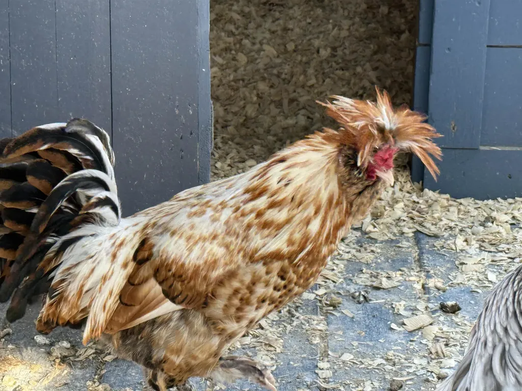 180 Grove Street Rutland City VT 05701