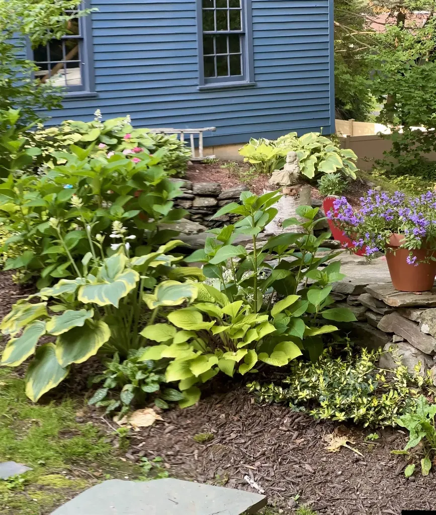 180 Grove Street Rutland City VT 05701